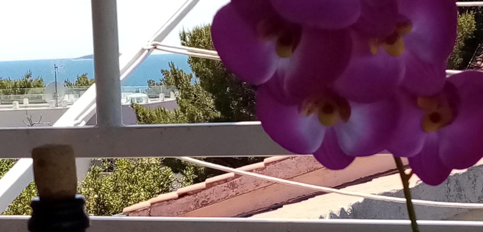 Apartments Bilo Near Primosten Room photo